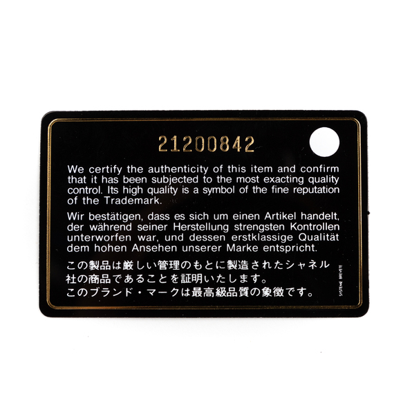 Chanel Timeless Mini in Black/Grey Hary leather with patina - Picture 8 of 8